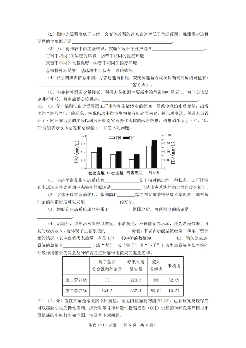 2024届湖南省长沙市雅礼中学高三3月综合测试（一）生物试题_2024年3月_013月合集_2024届湖南省长沙市雅礼中学高三下学期3月综合测试（一）