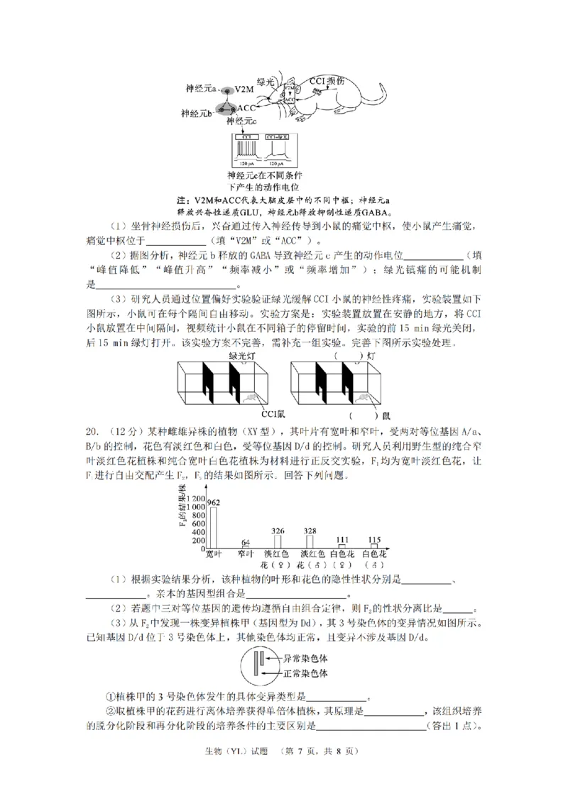 2024届湖南省长沙市雅礼中学高三3月综合测试（一）生物试题_2024年3月_013月合集_2024届湖南省长沙市雅礼中学高三下学期3月综合测试（一）