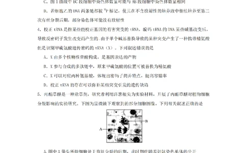 2024届湖南省长沙市雅礼中学高三3月综合测试（一）生物试题_2024年3月_013月合集_2024届湖南省长沙市雅礼中学高三下学期3月综合测试（一）