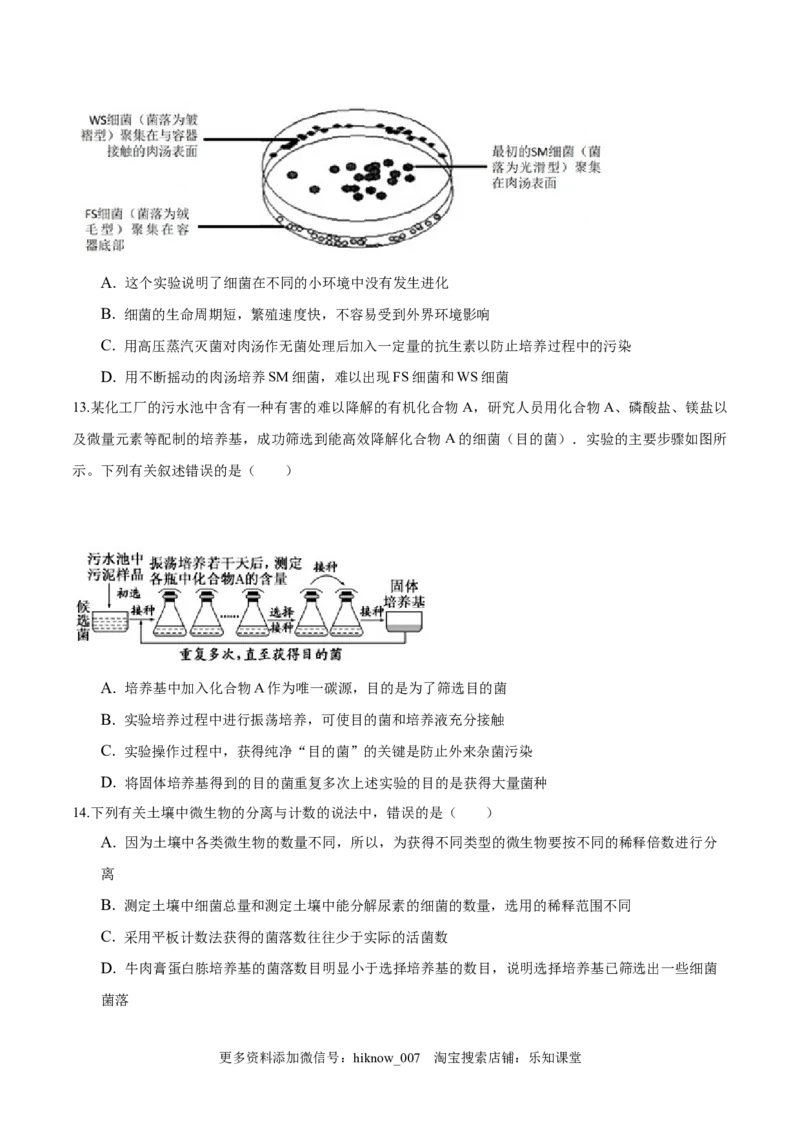 1.2微生物的培养技术和应用-2022-2023学年高二生物课后培优分级练（人教版2019选择性必修3）（原卷版）_E015高中全科试卷_生物试题_选修3_2.同步练习_1.课后培优练2023