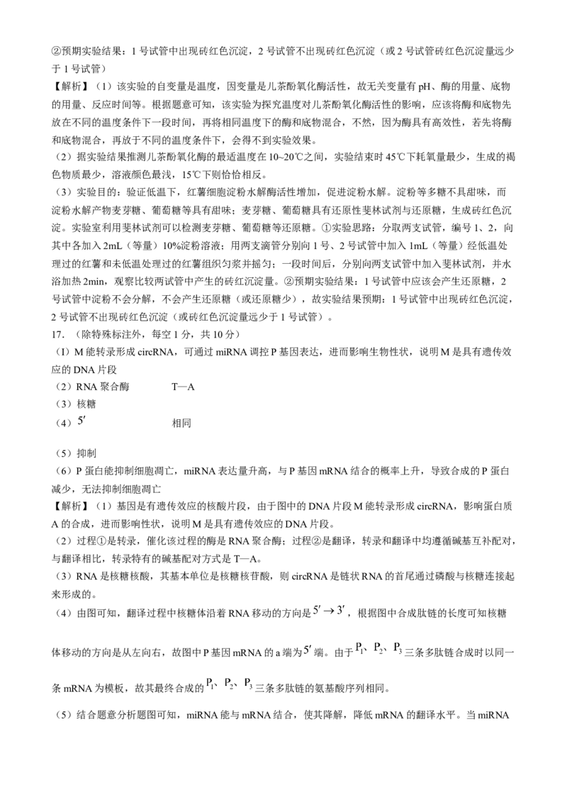 云南省三校2025届高三上学期高考备考实用性联考（二）生物Word版含解析(1)_8月_240820云南三校2025届高三上学期高考备考实用性联考卷（二）