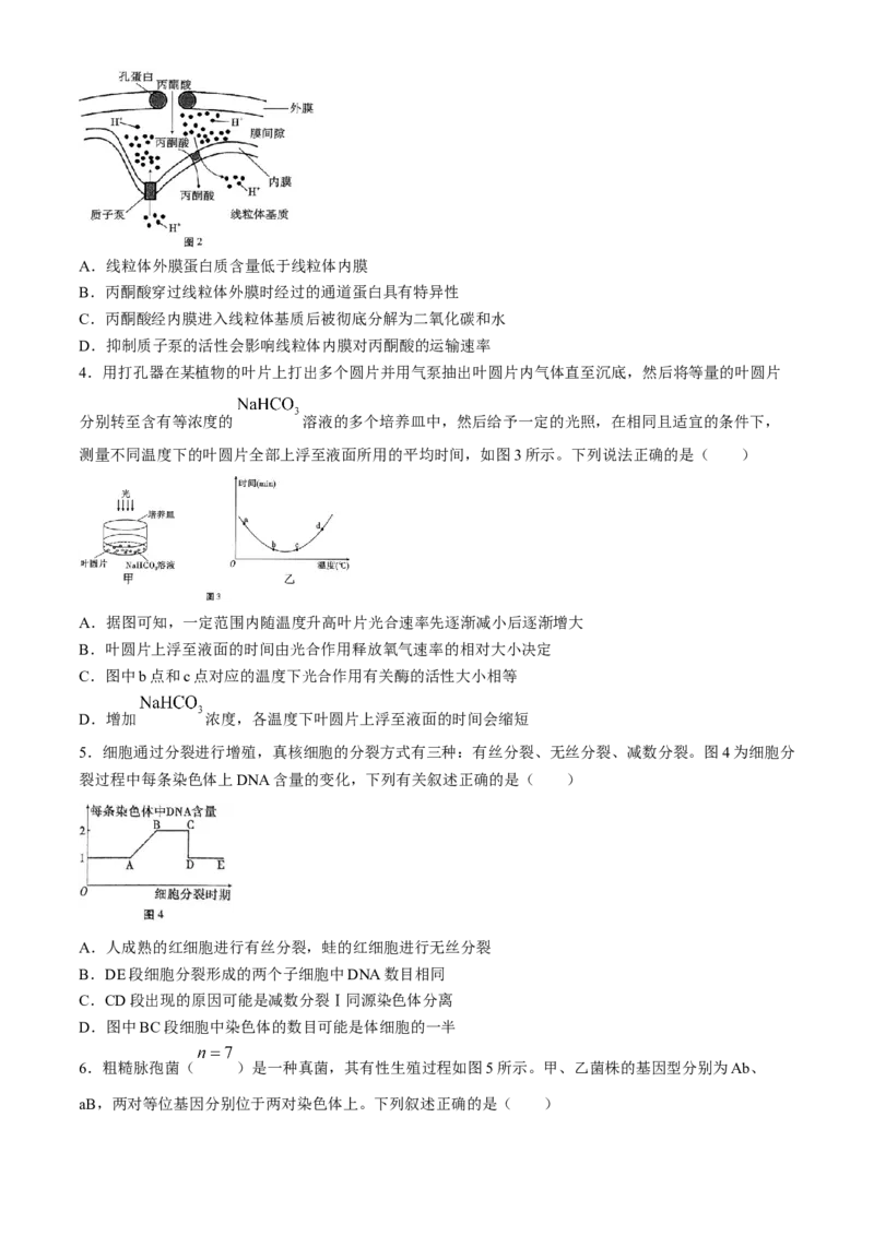 云南省三校2025届高三上学期高考备考实用性联考（二）生物Word版含解析(1)_8月_240820云南三校2025届高三上学期高考备考实用性联考卷（二）