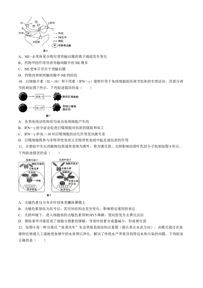 云南省三校2025届高三上学期高考备考实用性联考（二）生物Word版含解析(1)_8月_240820云南三校2025届高三上学期高考备考实用性联考卷（二）