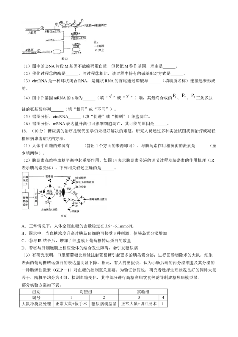 云南省三校2025届高三上学期高考备考实用性联考（二）生物Word版含解析(1)_8月_240820云南三校2025届高三上学期高考备考实用性联考卷（二）