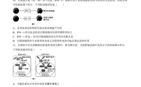 云南省三校2025届高三上学期高考备考实用性联考（二）生物Word版含解析(1)_8月_240820云南三校2025届高三上学期高考备考实用性联考卷（二）