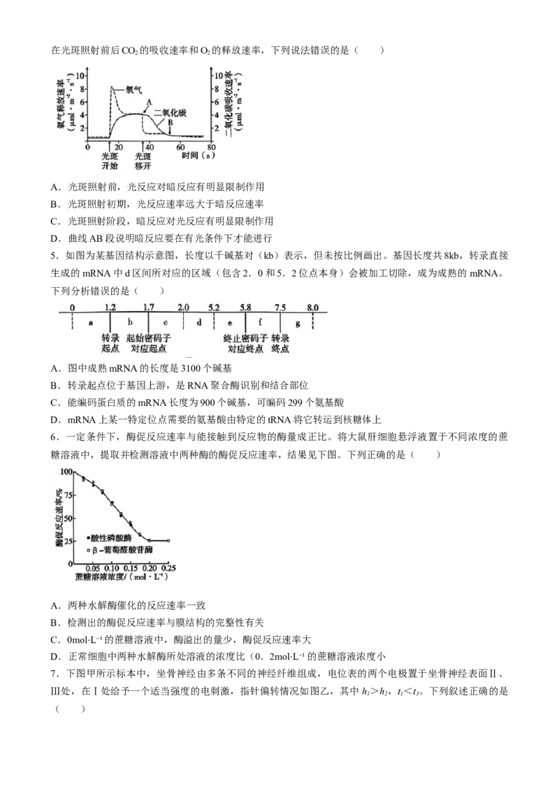 2024重庆市巴蜀中学高三4月适应性月考卷（八）生物(1)_2024年4月_024月合集_2024届重庆市巴蜀中学高三4月适应性月考卷（八）
