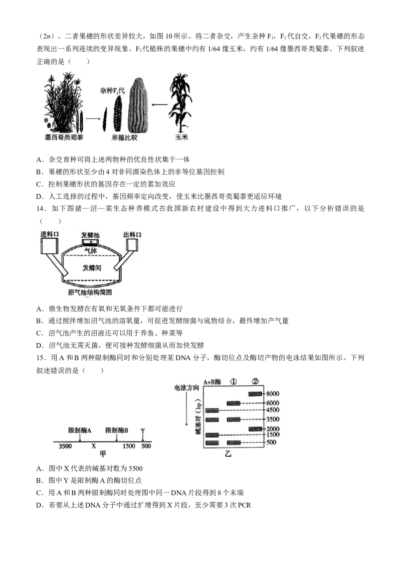 2024重庆市巴蜀中学高三4月适应性月考卷（八）生物(1)_2024年4月_024月合集_2024届重庆市巴蜀中学高三4月适应性月考卷（八）
