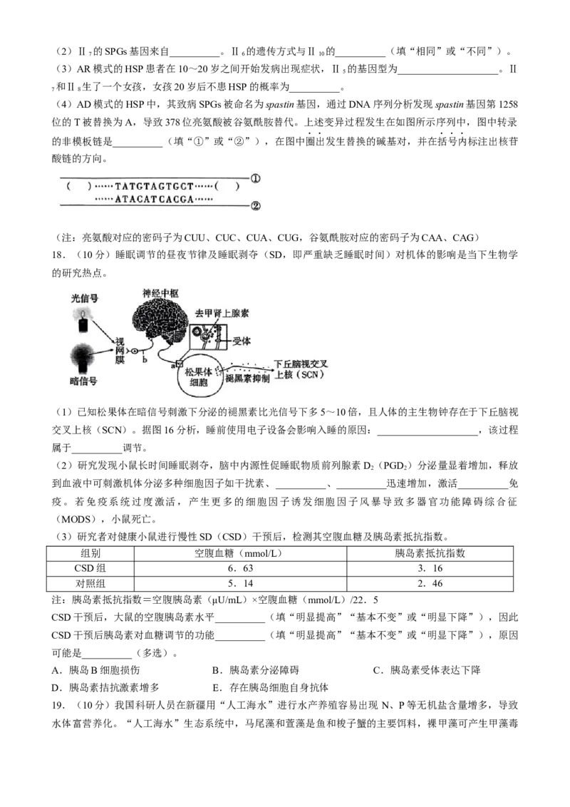 2024重庆市巴蜀中学高三4月适应性月考卷（八）生物(1)_2024年4月_024月合集_2024届重庆市巴蜀中学高三4月适应性月考卷（八）