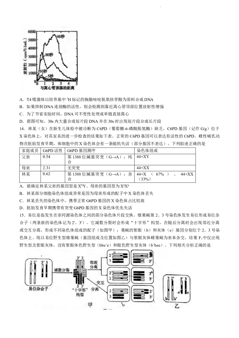 2024届重庆市八中高三高考3月适应性月考卷（五）生物试题_2024年3月_013月合集_2024届重庆市第八中学高考适应性月考卷（五）