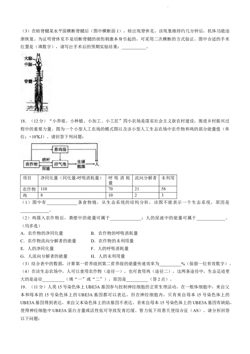 2024届重庆市八中高三高考3月适应性月考卷（五）生物试题_2024年3月_013月合集_2024届重庆市第八中学高考适应性月考卷（五）