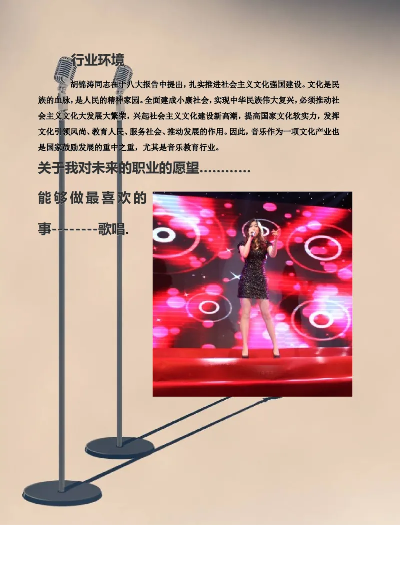 职业生涯规划书完整版--廖智慧_E6-职业规划_45音乐专业