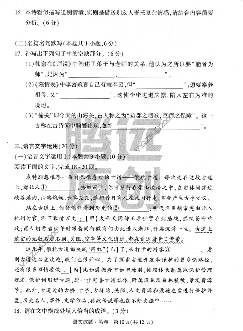 黑卷-2023年《黑白卷》语文（新高考）_2023高考押题卷_腾远黑白卷（官方只发售理科及新高考版本）_新高考_2023年《腾远高考黑白卷》语文（新高考）