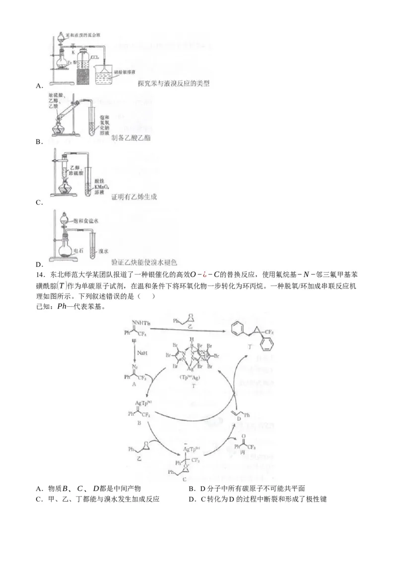 山东省泰安第二中学2023-2024学年高二下学期6月月考化学试题（含答案）_6月_2406302024山东省泰安第二中学高二下学期6月月考