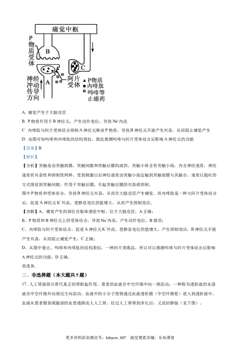 2022-2023学年高二上学期期中生物试题（解析版）_E015高中全科试卷_生物试题_选修1_3.期中测试_2022-2023学年高二上学期期中生物试题