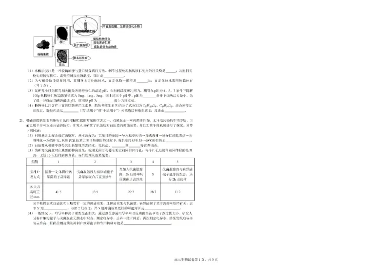 广西钦州市示范性高中2024-2025学年高三上学期开学考试生物试题(1)_8月_240814广西钦州市示范性高中2024&mdash;2025学年高三上学期开学考试