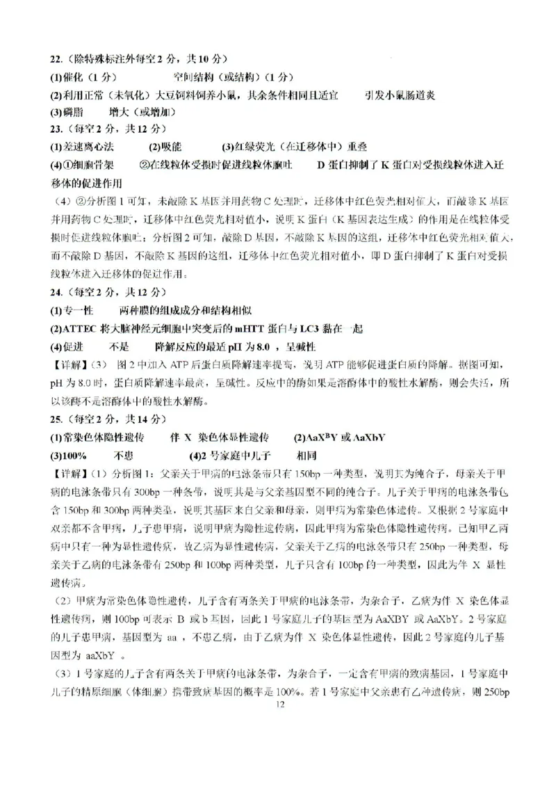 福建省龙岩市龙岩一中2025届高三上学期开学考试生物试题(1)_8月_240825福建省龙岩市龙岩一中2025届高三上学期开学考试