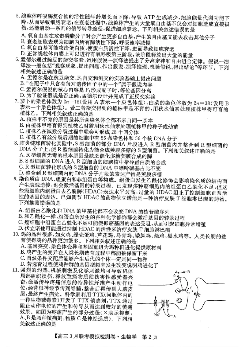 2024黑吉辽三省部分学校高三3月联考模拟检测-生物(1)_2024年3月_013月合集_2024届东北三省部分学校高三3月联考模拟检测