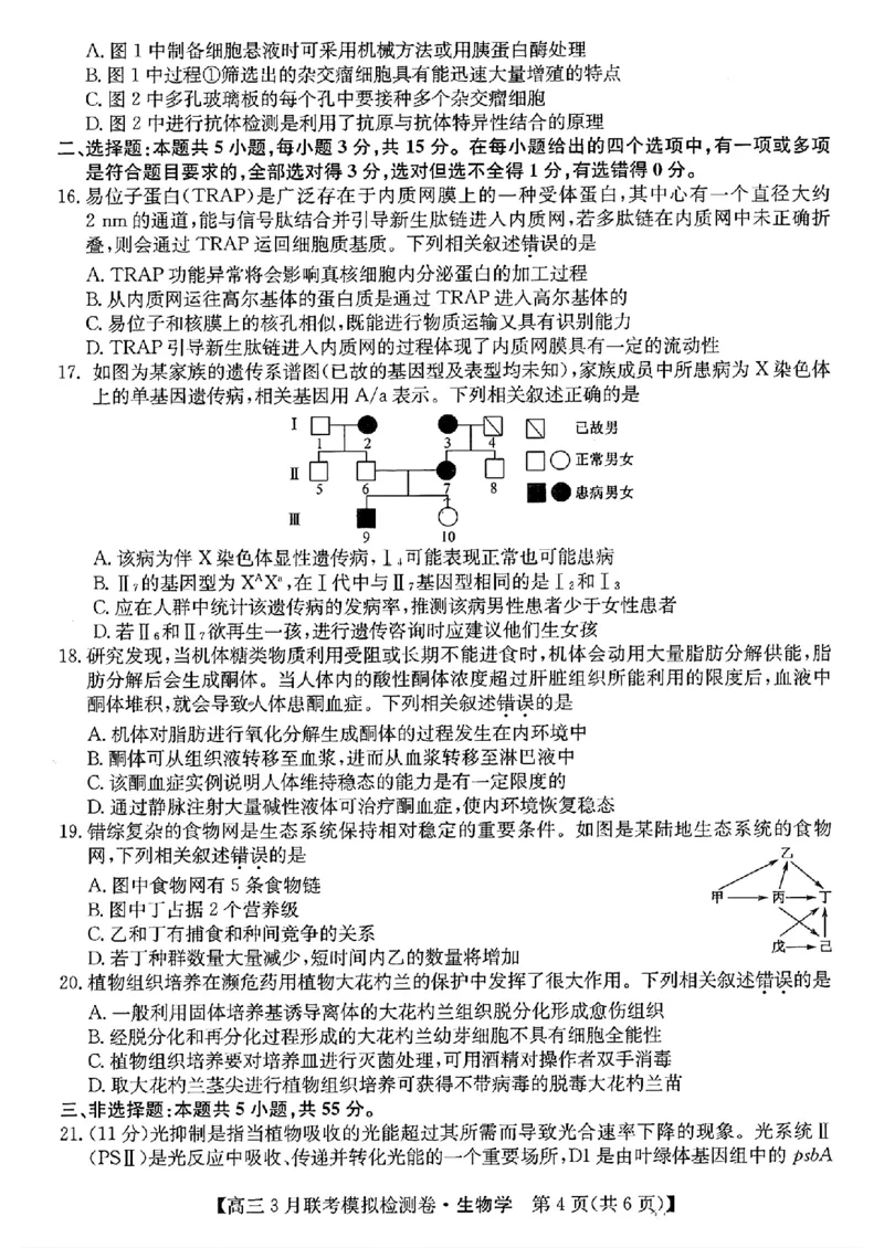 2024黑吉辽三省部分学校高三3月联考模拟检测-生物(1)_2024年3月_013月合集_2024届东北三省部分学校高三3月联考模拟检测