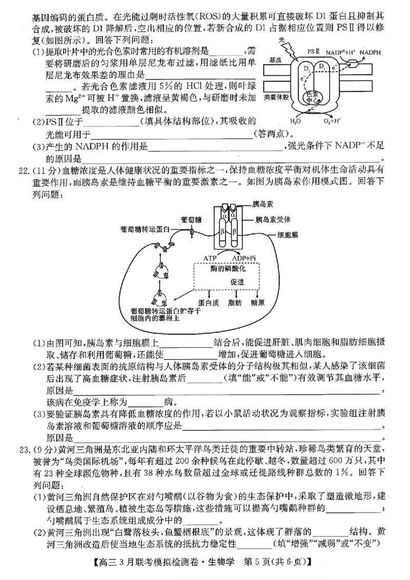 2024黑吉辽三省部分学校高三3月联考模拟检测-生物(1)_2024年3月_013月合集_2024届东北三省部分学校高三3月联考模拟检测