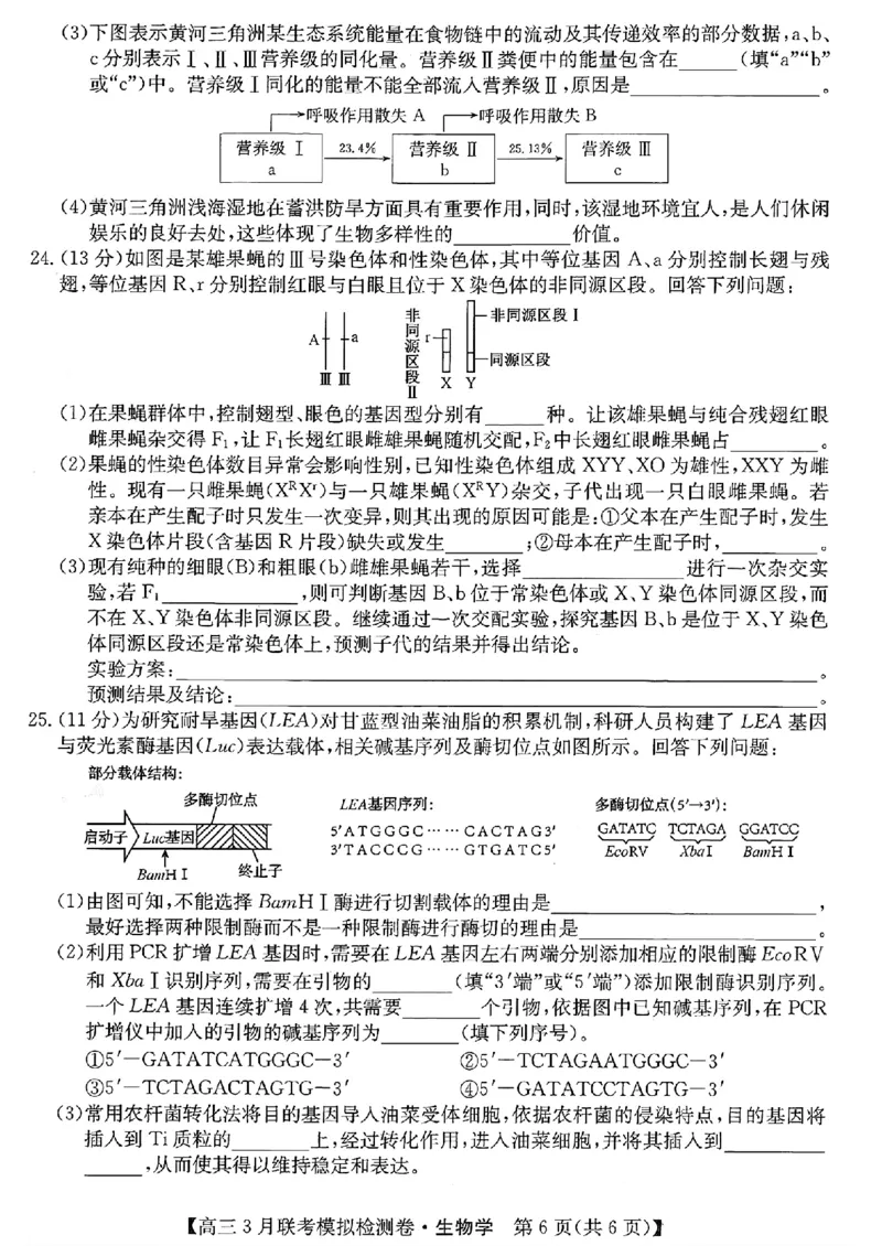 2024黑吉辽三省部分学校高三3月联考模拟检测-生物(1)_2024年3月_013月合集_2024届东北三省部分学校高三3月联考模拟检测