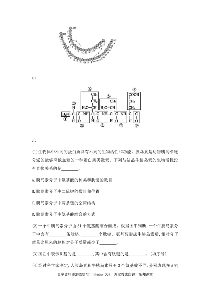 2.4蛋白质是生命活动的主要承担者练习新教材人教版（2019）高中生物必修一_E015高中全科试卷_生物试题_必修1_2.同步练习_4.同步练习（第四套）