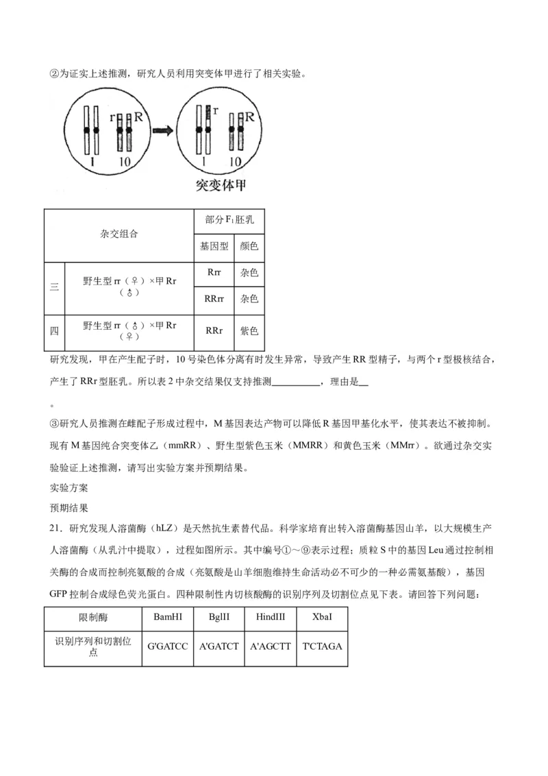 黄金卷（考试版）-赢在高考&middot;黄金8卷备战2024年高考生物模拟卷（甘肃专用）_2024高考押题卷_92024赢在高考全系列_（通用版）2024《赢在高考&middot;黄金预测卷》（九科全）各八套