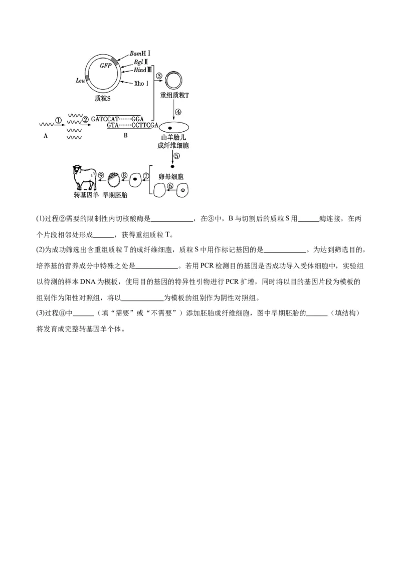 黄金卷（考试版）-赢在高考&middot;黄金8卷备战2024年高考生物模拟卷（甘肃专用）_2024高考押题卷_92024赢在高考全系列_（通用版）2024《赢在高考&middot;黄金预测卷》（九科全）各八套