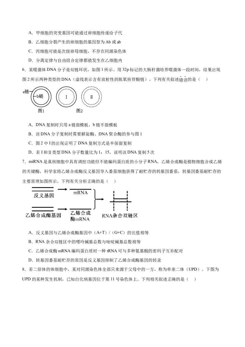 黄金卷（考试版）-赢在高考&middot;黄金8卷备战2024年高考生物模拟卷（甘肃专用）_2024高考押题卷_92024赢在高考全系列_（通用版）2024《赢在高考&middot;黄金预测卷》（九科全）各八套