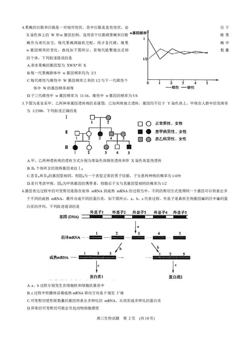 2024年3月济南市高三模拟考试(生物)_2024年3月_013月合集_2024届山东省济南市3月高三模拟考试_山东省济南市2024年3月高三模拟考试生物