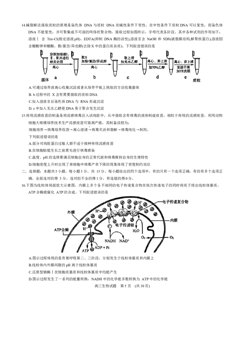 2024年3月济南市高三模拟考试(生物)_2024年3月_013月合集_2024届山东省济南市3月高三模拟考试_山东省济南市2024年3月高三模拟考试生物