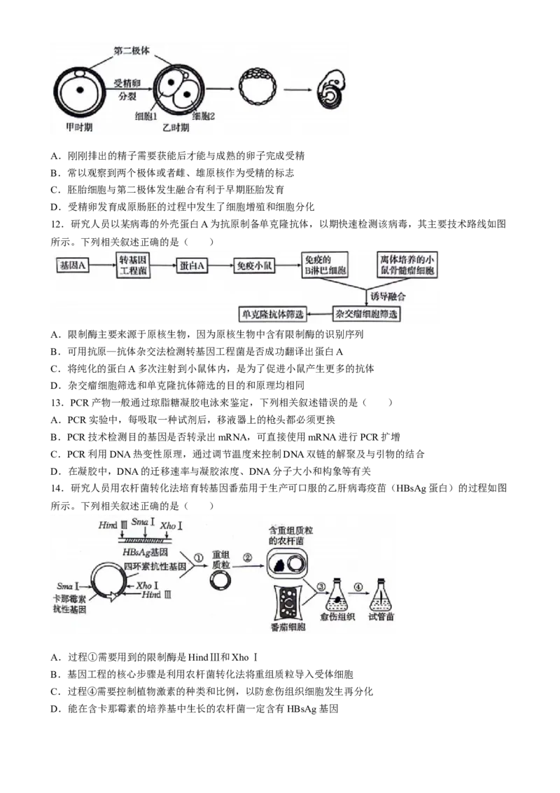 陕西省安康市2023-2024学年高二下学期6月期末生物试题(无答案)(1)_7月_240701陕西省安康市2023-2024学年高二下学期6月期末质量联考
