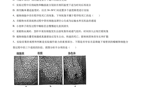黄金卷02（考试版）-赢在高考&middot;黄金8卷备战2024年高考生物模拟卷（安徽专用）_2024高考押题卷_92024赢在高考全系列_（通用版）2024《赢在高考&middot;黄金预测卷》（九科全）各八套