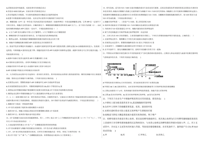 生物--2024-2025学年第一学期高三第一次月考试卷（8月）学生卷--2024-2025学年第一学期高三生物第一次月考试卷（8月）_8月_240821新疆石河子第一中学2024-2025学年高三上学期开学考试