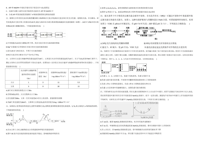 生物--2024-2025学年第一学期高三第一次月考试卷（8月）学生卷--2024-2025学年第一学期高三生物第一次月考试卷（8月）_8月_240821新疆石河子第一中学2024-2025学年高三上学期开学考试