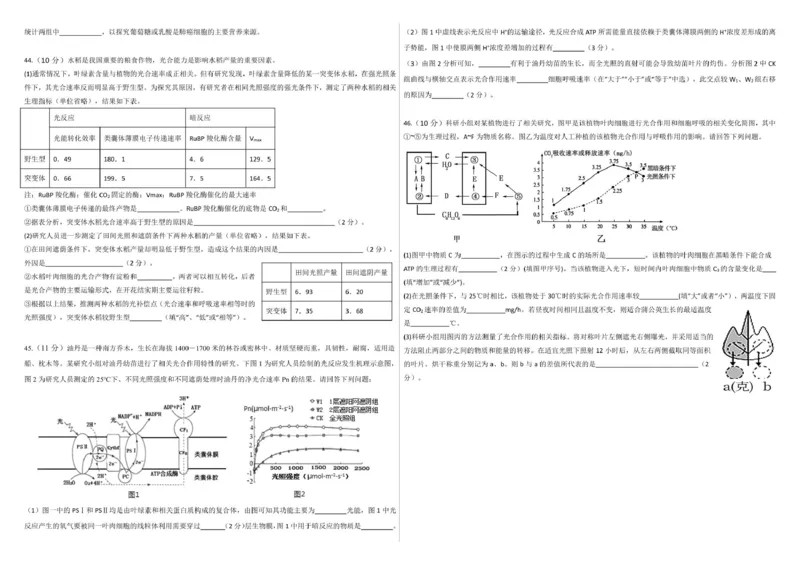 生物--2024-2025学年第一学期高三第一次月考试卷（8月）学生卷--2024-2025学年第一学期高三生物第一次月考试卷（8月）_8月_240821新疆石河子第一中学2024-2025学年高三上学期开学考试