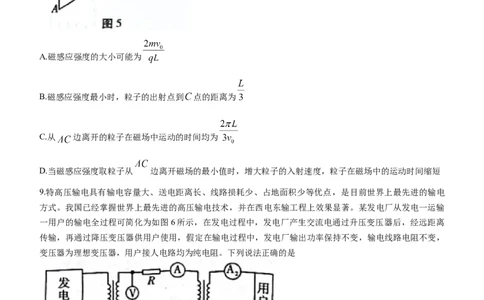 2024届贵州省六校联盟高三下学期实用性联考三模拟预测物理试题_2024年3月_02按日期_21号_2024届贵州省六校联盟高考实用性联考（三）