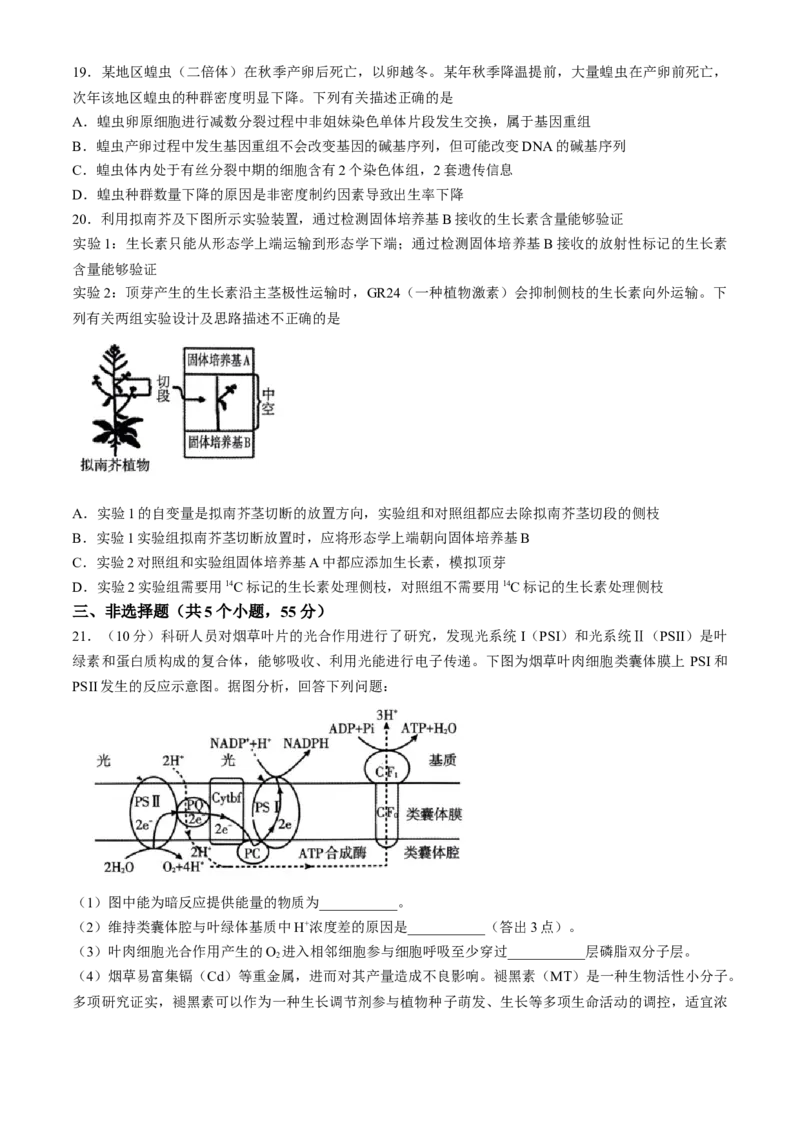 2024届辽宁省高三下学期高考扣题卷（一）生物试题(1)_2024年4月_024月合集_2024届辽宁省高三下学期高考扣题卷（一）