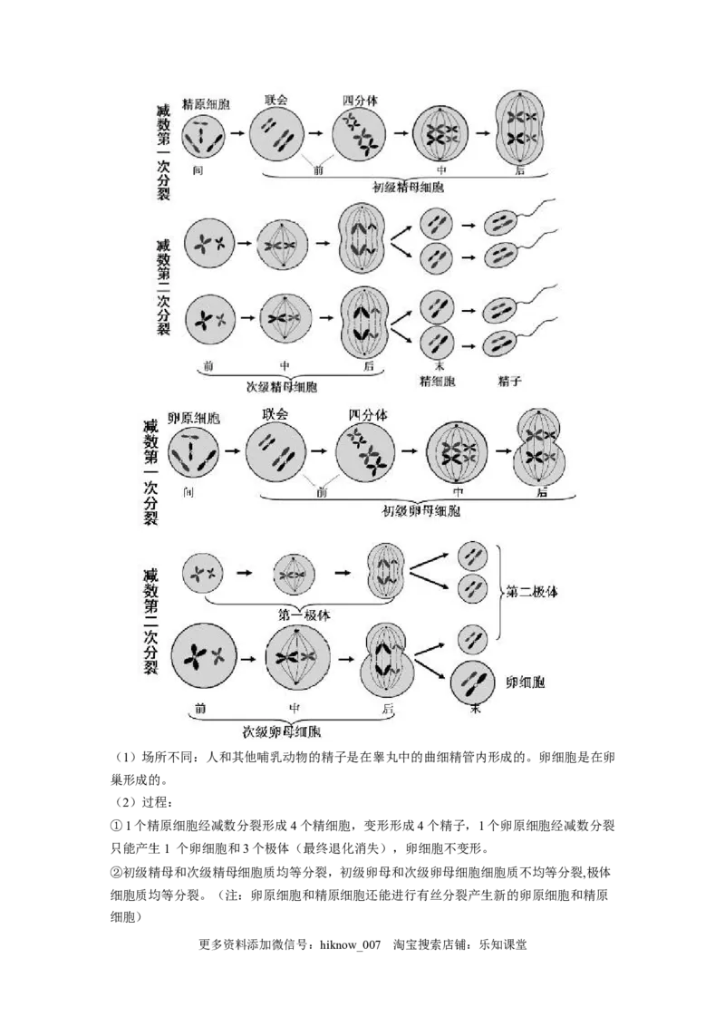 2.1减数分裂和受精作用（原卷版）_E015高中全科试卷_生物试题_必修2_2.同步练习_2、课后培优练2023_2.1+减数分裂和受精作用-2022-2023学年高一生物课后培优分级练（人教版2019必修2）
