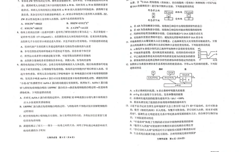 2024届贵州省贵阳市高三一模生物试题_2024年2月_01每日更新_24号_2024届贵州省贵阳市高三年级适应性考试（一）_贵州省贵阳市2024年高三年级适应性测试（一）生物