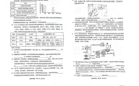 2024届贵州省贵阳市高三一模生物试题_2024年2月_01每日更新_24号_2024届贵州省贵阳市高三年级适应性考试（一）_贵州省贵阳市2024年高三年级适应性测试（一）生物