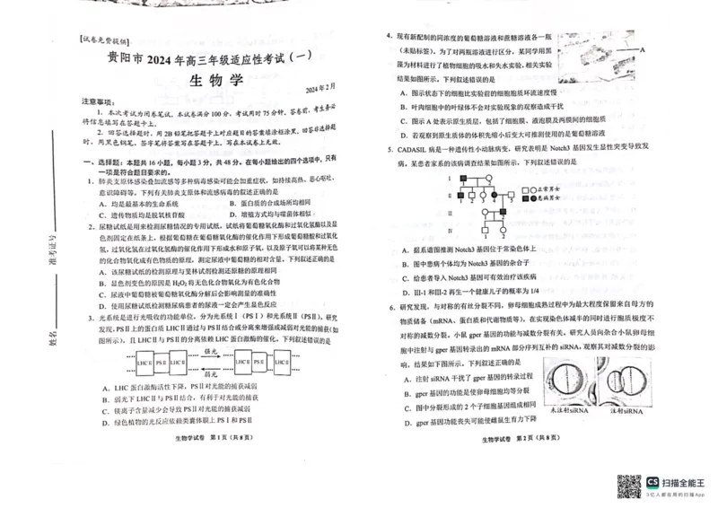 2024届贵州省贵阳市高三一模生物试题_2024年2月_01每日更新_24号_2024届贵州省贵阳市高三年级适应性考试（一）_贵州省贵阳市2024年高三年级适应性测试（一）生物