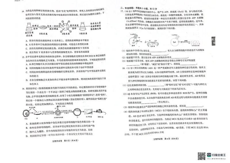 2024届贵州省贵阳市高三一模生物试题_2024年2月_01每日更新_24号_2024届贵州省贵阳市高三年级适应性考试（一）_贵州省贵阳市2024年高三年级适应性测试（一）生物