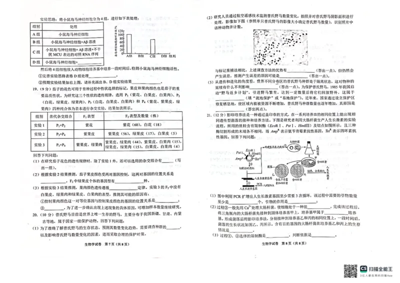 2024届贵州省贵阳市高三一模生物试题_2024年2月_01每日更新_24号_2024届贵州省贵阳市高三年级适应性考试（一）_贵州省贵阳市2024年高三年级适应性测试（一）生物