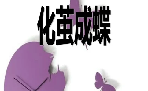 职业生涯规划&mdash;&mdash;外语系_E6-职业规划_24外语专业