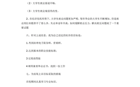 电子商务专业职业生涯规划书-模板_E6-职业规划_13电子商务专业