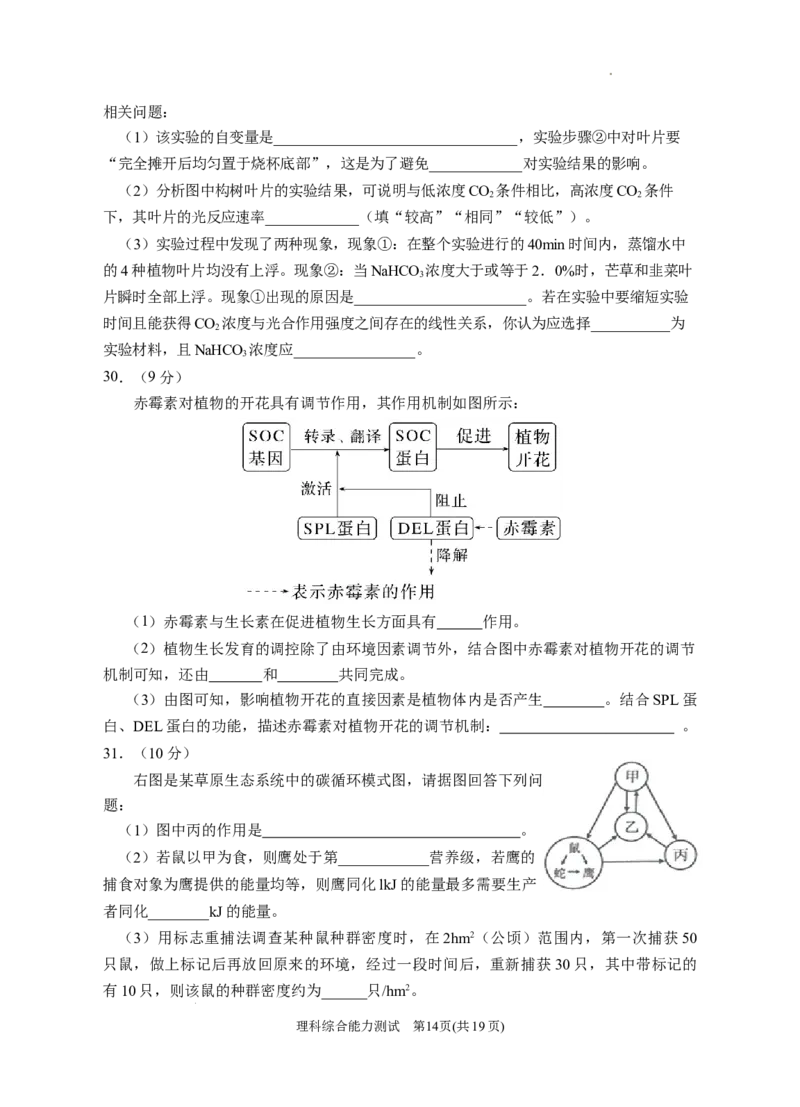 2024届高三第二次模拟理综试卷_2024年4月_01按日期_21号_2024届宁夏银川一中高三下学期第二次模拟考试_2024届宁夏回族自治区银川一中高三下学期第二次模拟考试理科综合试卷
