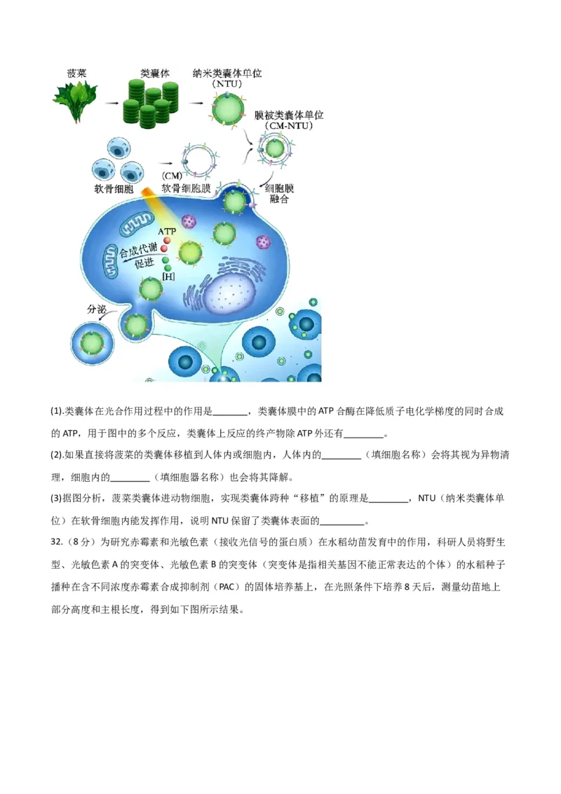 黄金卷01（考试版）-赢在高考&middot;黄金8卷备战2024年高考生物模拟卷（全国专用）_2024高考押题卷_92024赢在高考全系列_（通用版）2024《赢在高考&middot;黄金预测卷》（九科全）各八套