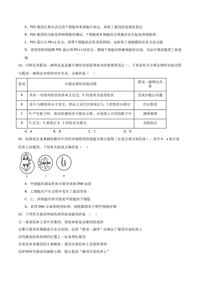 黄金卷01（考试版）-赢在高考&middot;黄金8卷备战2024年高考生物模拟卷（全国专用）_2024高考押题卷_92024赢在高考全系列_（通用版）2024《赢在高考&middot;黄金预测卷》（九科全）各八套