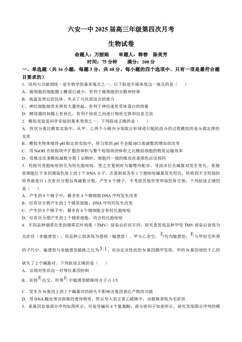 安徽省六安第一中学2024-2025学年高三上学期11月月考生物+答案_12月_241202安徽省六安一中2024-2025学年高三第四次月考（11月）（全科）