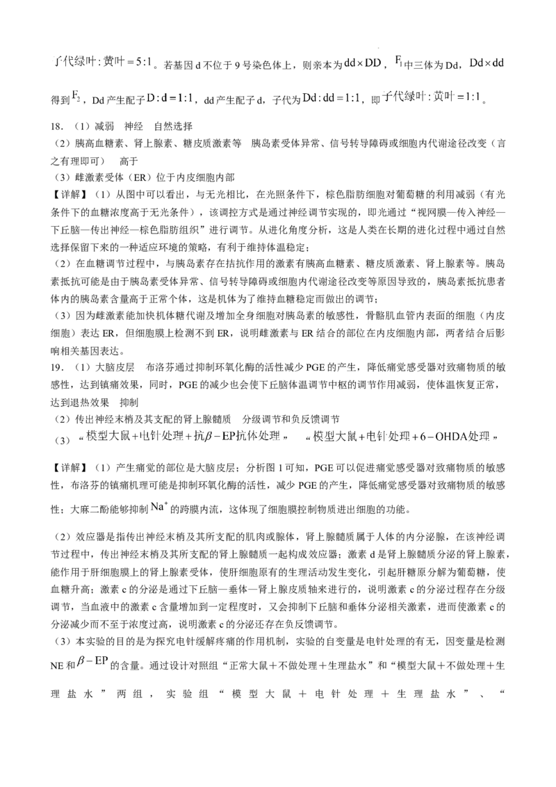 安徽省六安第一中学2024-2025学年高三上学期11月月考生物+答案_12月_241202安徽省六安一中2024-2025学年高三第四次月考（11月）（全科）